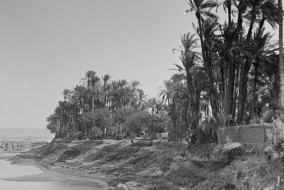 Zwei schwarz-weiße Fotos nebeneinander von einem niedrigen Flussufer mit Palmen.
