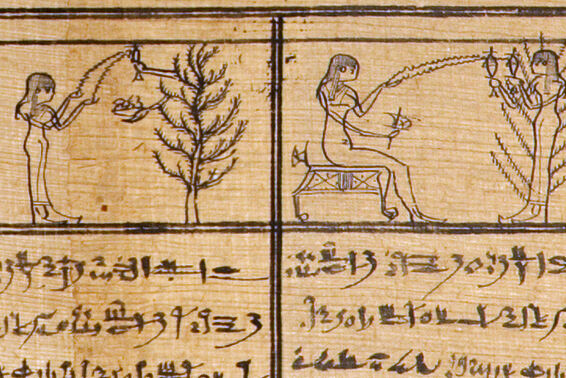 Papyrus mit Zeichnungen einer Person, die Wasser aus ihren Händen auf Pflanzen oder Menschen schießt.