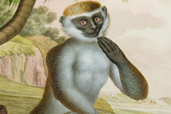 Gemälde eines Affen
