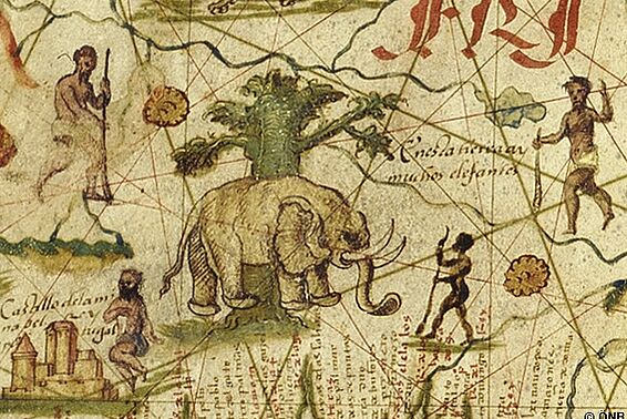 Elefant, Kartendetail