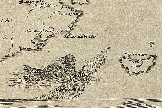 Meerestier auf Landkarte, Detail