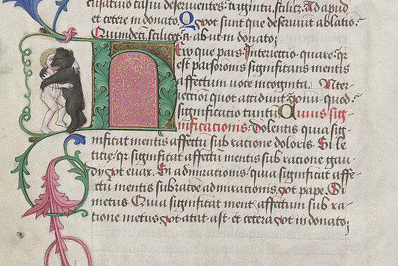 Mittelalterliche Handschrift mit Szene, in der eine Person und ein Bär kämpfen