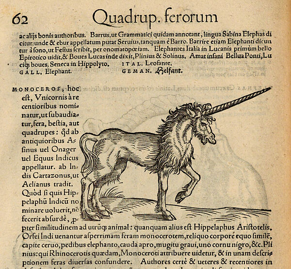 Zeichnung von Einhorn neben Text in Latein