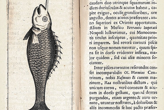 Buchseite mit Zeichnung von Fisch mit Horn