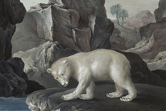Eisbär vor einem Felsen