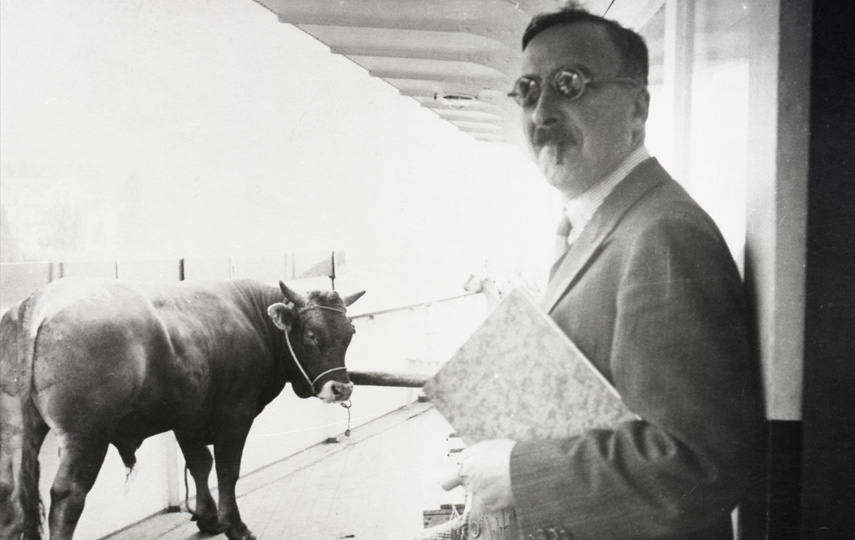 Schwarz-weiß Fotografie mit Mann rechts und Kuh links