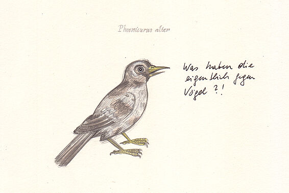 Zeichnung von Vogel mit Text "Was haben die eigentlich gegen Vögel?"