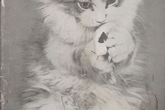 Schwarz-weißes Bild einer Katze, die auf den Hinterbeinen steht.