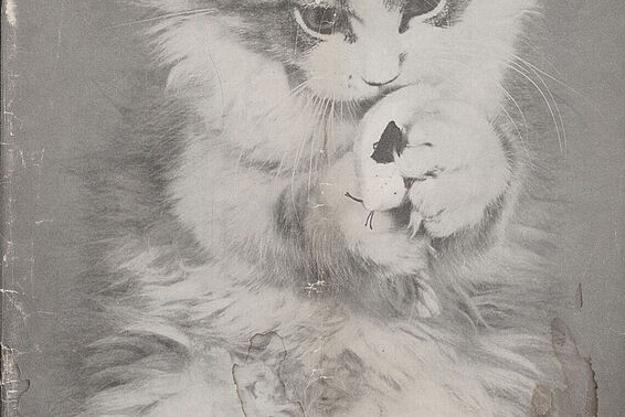 Cover of magazine with picture of a cat