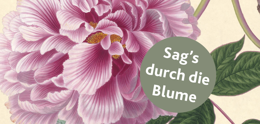 Pinke Blume mit Text "Sag's durch die Blume"