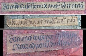 Title labels from the Salzburg Cathedral Chapter Library from around 1500 Title labels from the Salzburg Cathedral Chapter Library from around 1500