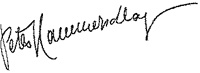 Signatur Hammerschlag