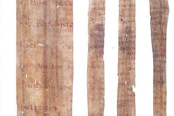 Plinius Secundus, Naturalis historia