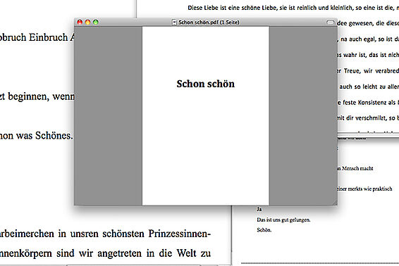 Screenshot von mehreren offenen Fenstern am Computer, im mittleren steht auf "schon schön"