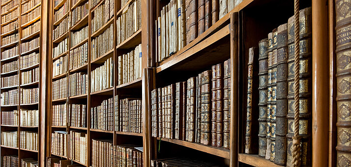 Braune Bücherregale