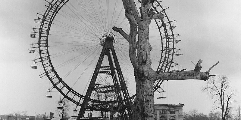 Alte schwarzweiße Aufnahme vom Wiener Riesenrad hinter trostlosem Baum
