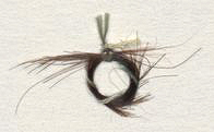 Mary Vetseras Haarlocke