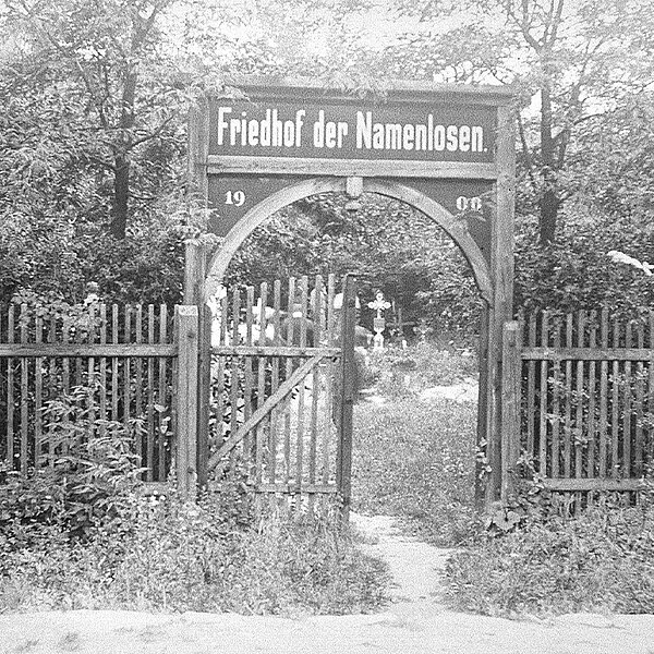 Tor des Friedhofs der Namenlosen, von Pflanzen überwuchert, schwarz-weiß