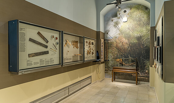 vitirnen des Paapyrusmuseum