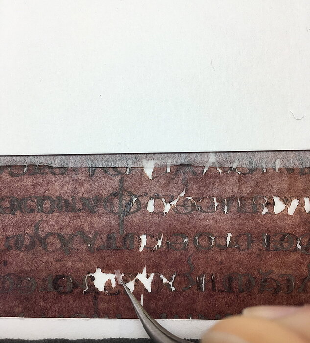 Ausgebrochene Buchstaben von Silbertusche in der Wiener Genesis werden mit kleinen Japanpapierbrücken gesichert.