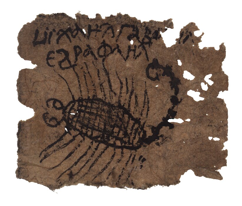 Papyrus