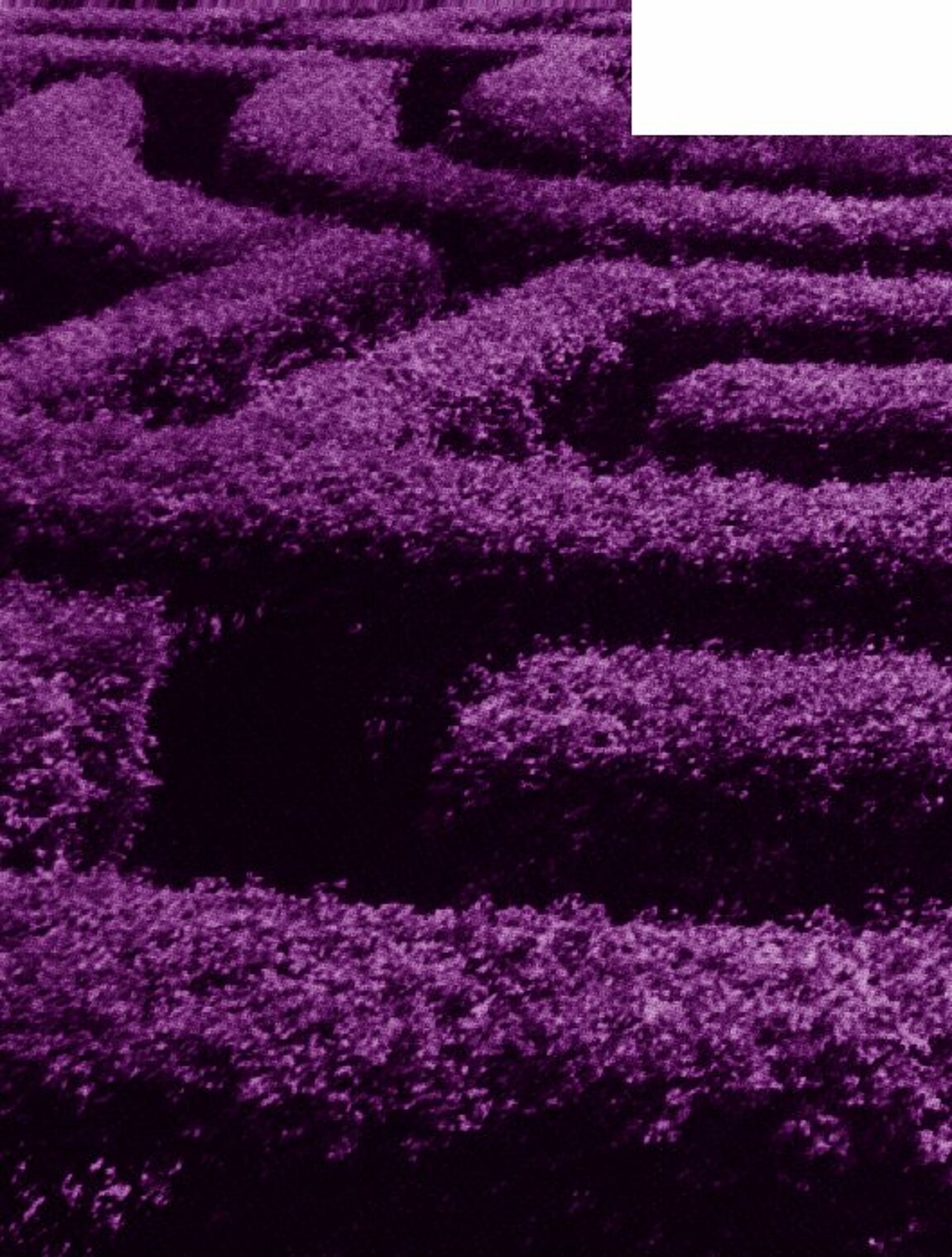 Lila Heckenlabyrinth