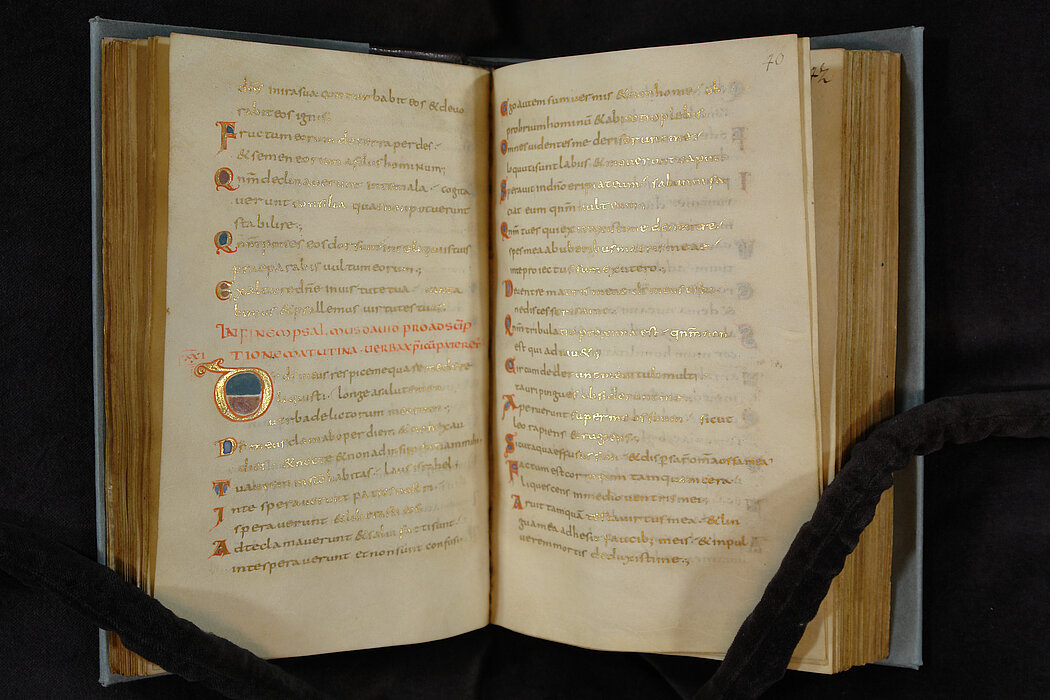 Offenes, altes Buch mit goldener Schrift und rot-blauen Verzierungen.