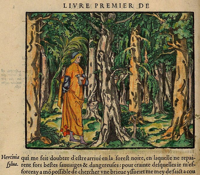 Abbildung einer Seite aus einem Buch, mit einem Mann, der im Wald zwischen Bäumen spaziert und entsprechendem Text darunter. 