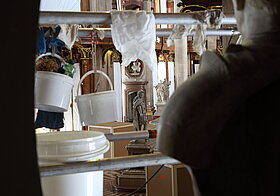 Blick vom Gerüst auf eine Statue.