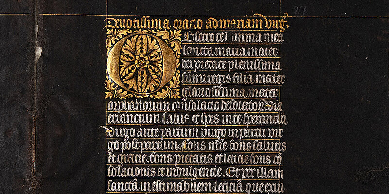 Mittelalterliche Handschrift auf schwarzem Pergament mit goldener Initiale und Text in Weiß.